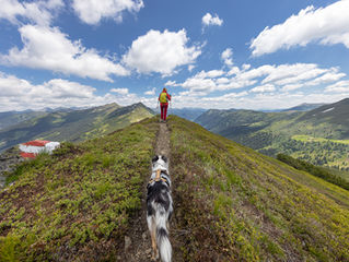 Kreuzkogel und Breiteckkoppe