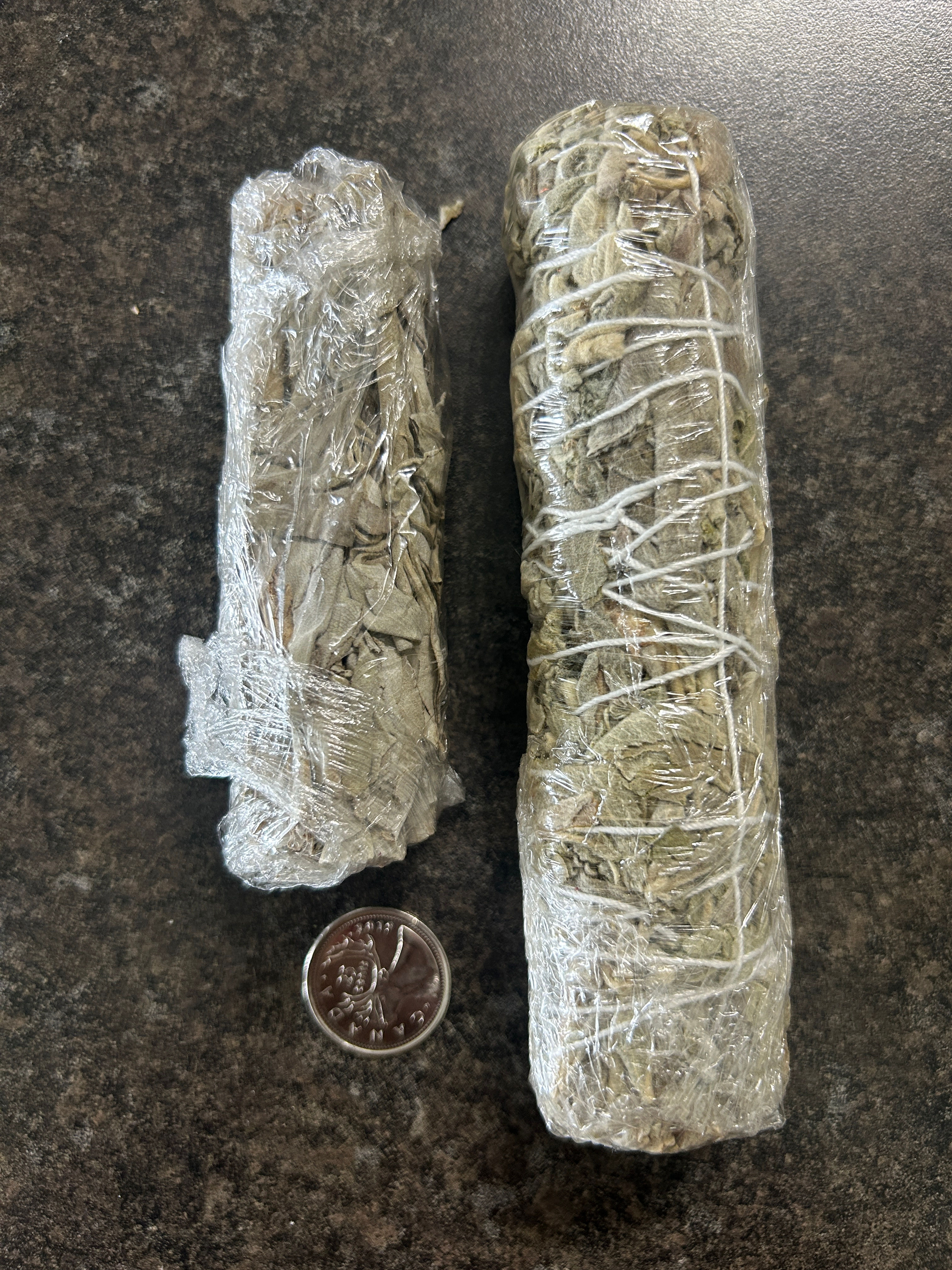 Small Himalayan Sage