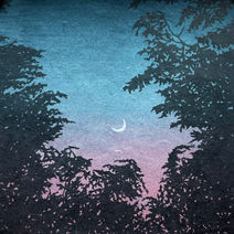 Nott screenprint
