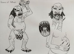 IMG_20260312_091135994_HDR_DOC