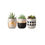 Thumbnail: Tribal Succulent Set [QTY: 31, Sold in a set of 3]