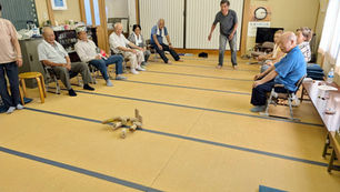 来海沢サロン モルックを楽しむ