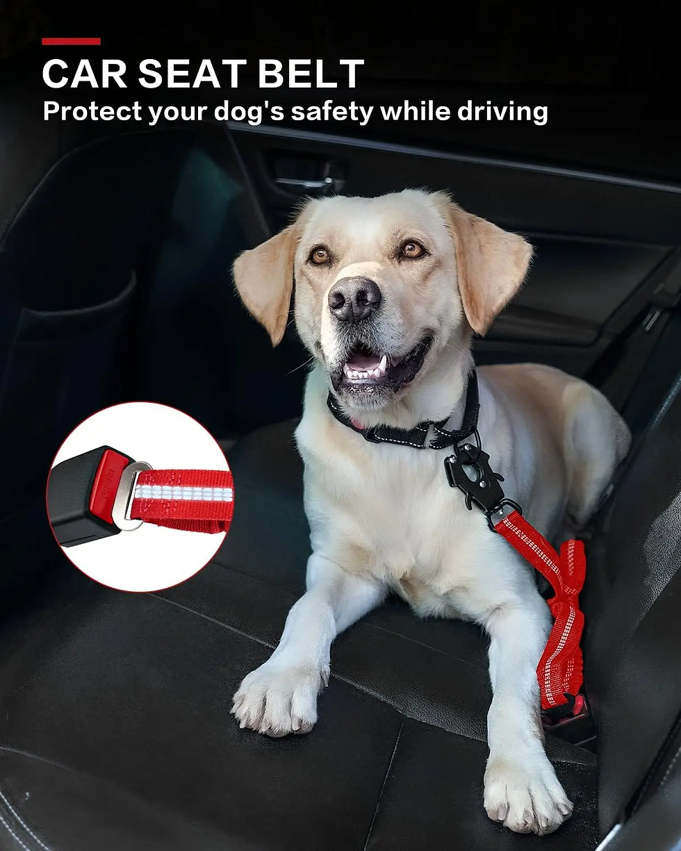 Thumbnail: Tactical Dog Leash Heavy Duty, 4-6FT Shock Absorbing Bungee Lead with 2 Padded H