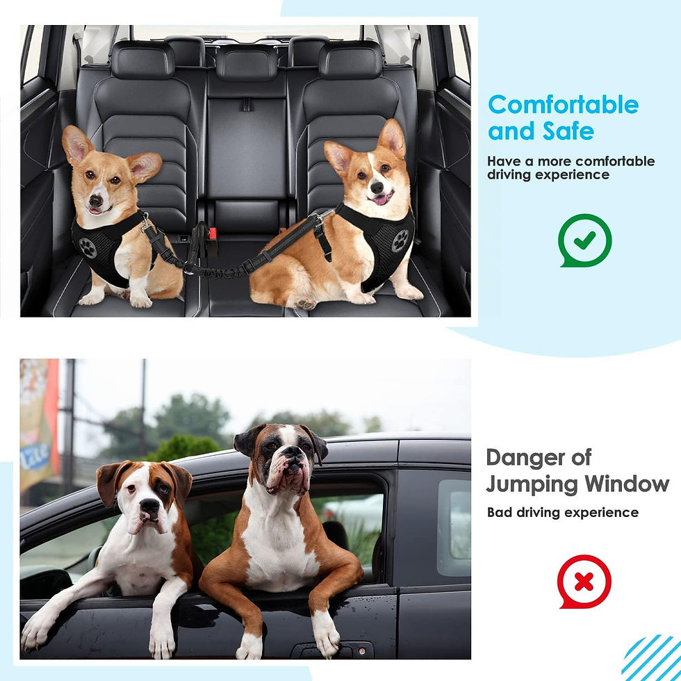 Thumbnail: Dog Seat Belt, Double Dog Seatbelt Adjustable Vehicle Safety Leash with Elastic 
