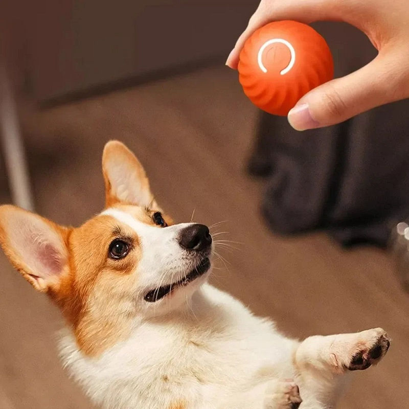 Thumbnail: Dog Toy Ball Automatic Moving Bouncing Rolling Ball USB Smart puppy Interactive 