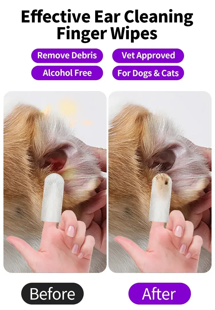 Thumbnail: 50 PCS Pet Cleaning Products  Ear Cleaning Wipes  Ear Care Fingertips  Ear Mite 