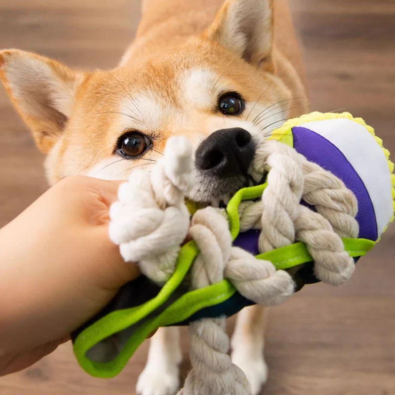 Thumbnail: Dog Squeak Toy Teeth Grinding Bite Resistant Slippers Shape Puppy Chew Toy With 