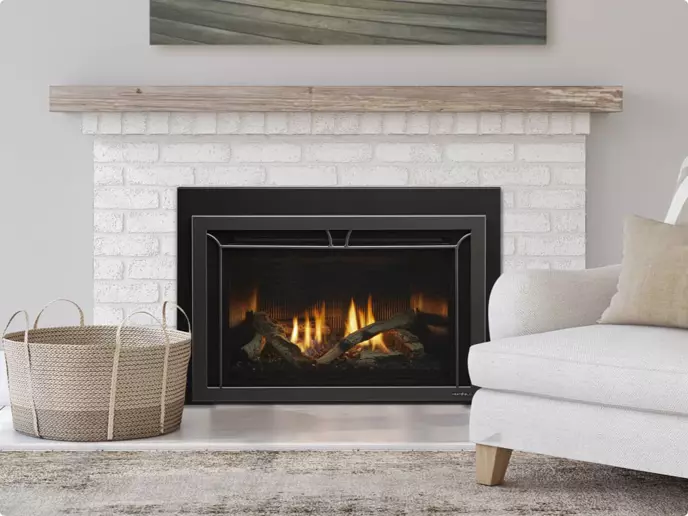 Heat & Glo gas insert