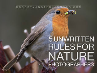 5 Unwritten rules for nature photographers