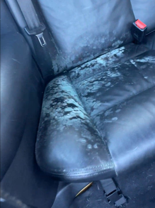 Screenshot 2026-01-04 153503_edited.jpg