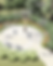 GG Website (10).png