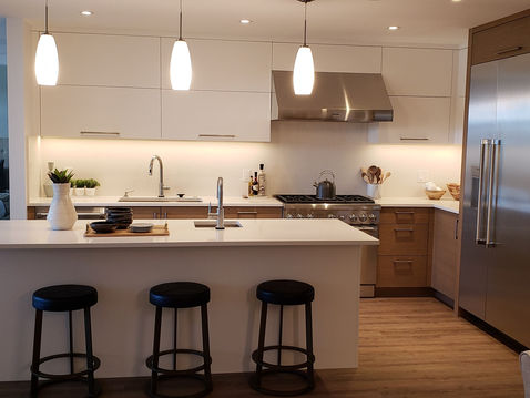 Terra Nova Home Renovation