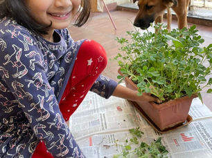 A Seed of Change: Growing Food, Growing Community