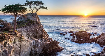 bird rock.jpg