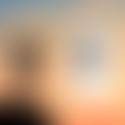 Mar 08: The Art of Embracing Joy Through Celebration