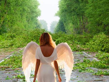 𝑺𝒕𝒐𝒓𝒎 𝒐𝒇 𝑳𝒊𝒇𝒆 𝑹𝒆𝒂𝒄𝒉𝒆𝒔 𝑪𝒂𝒕𝒆𝒈𝒐𝒓𝒚 5