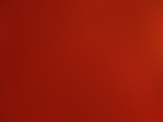 Poulet tandoori et riz aux épices.