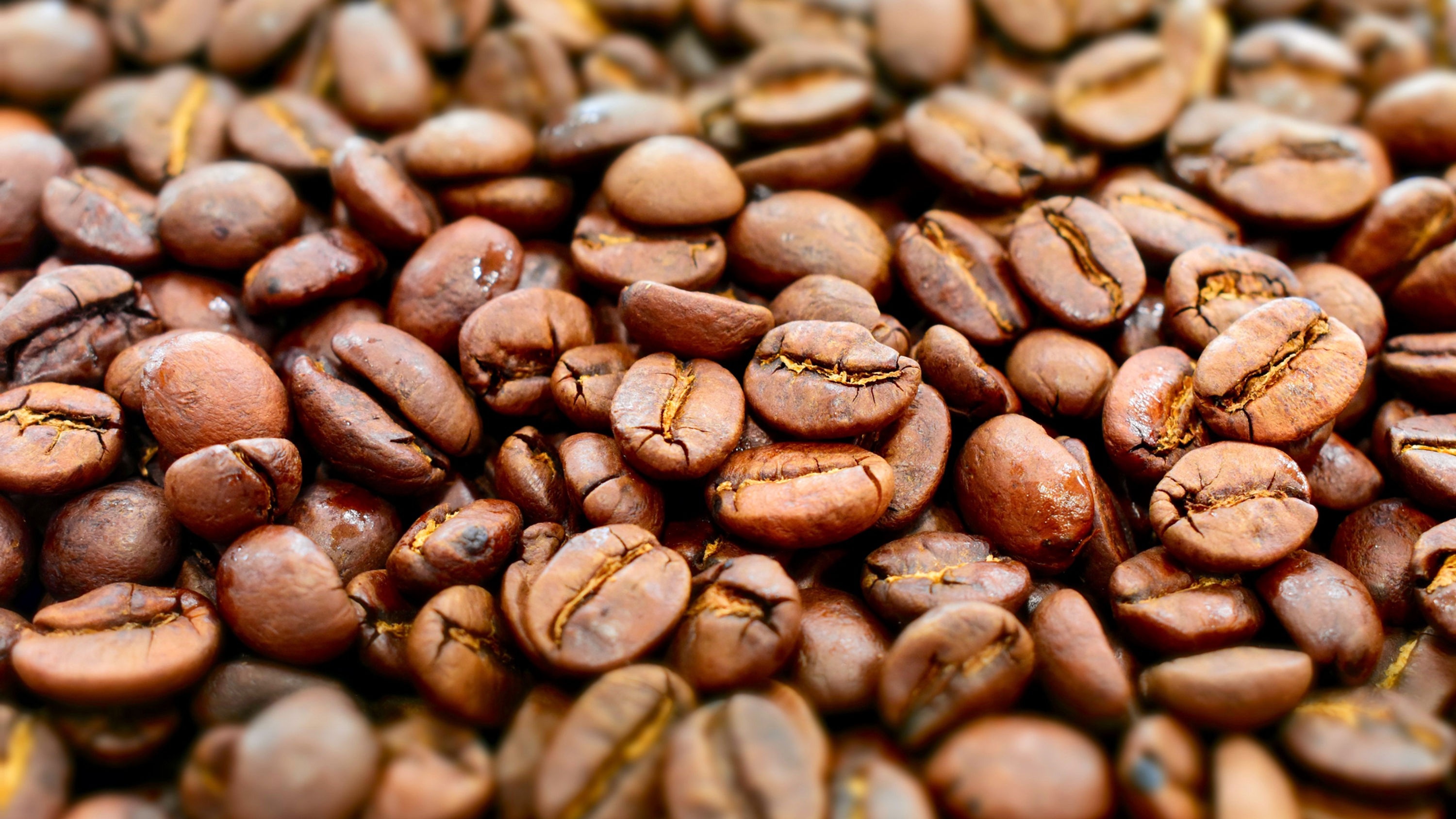 TANZANIE KILIMANDJARO