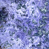 Purple Panel (SQ).png