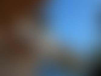 Boat Access Only — And We Still Got the Roof On Before Winter