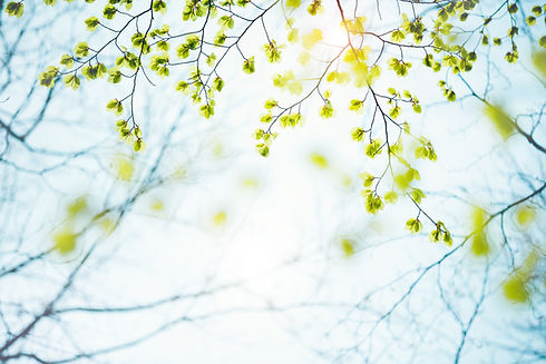 iStock-506478148.jpg