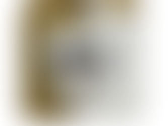 Company Promotional and Customized Lapel Pins for Branding