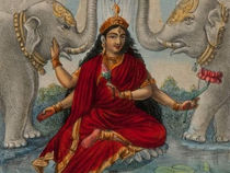 कमला 🌷 Kamalā - 10° Mahavidya.