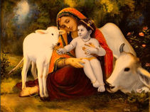 O dia de Janmāṣṭamī, ou o aniversário do Senhor Kṛṣṇa