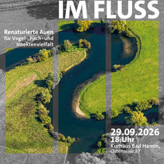 Alles im Fluss - Renaturierte Auen für Vogel-, Fisch- und Insektenvielfalt