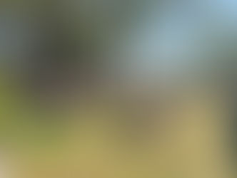 Politik im Grünen voller Erfolg