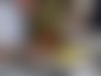 Curso Superior de Tecnologia em Gastronomia UniPinhal, sedia a MasterClass conduzida pelo renomado Chef Adriano Rondinelli Muradi