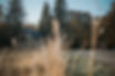 Nitaure_Glamping_Rudens2025_11.jpg.jpg