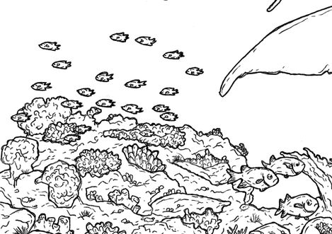 baleine 4 det 1.jpg