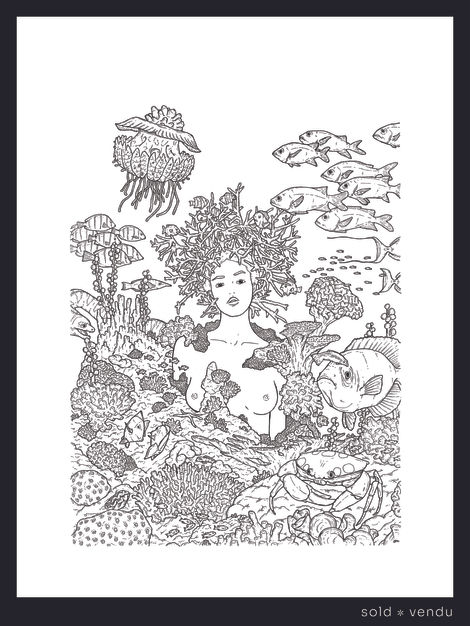 FEMME-CORAIL. LA MEDUSE cover vendu 2.jpg
