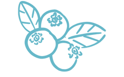 Arte vectorial de fruta