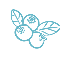 Fruit Vector Art