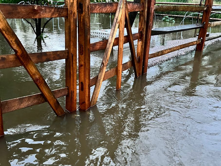 An Aphidious Adventure, a Ferocious Flood, and the Elusive Duffel Bag