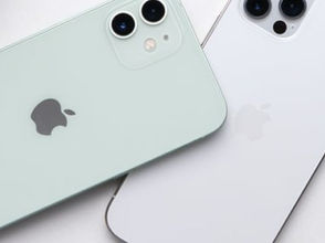 iPhone Comparison: Reviewing Specs of the Latest Models