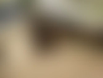 The Resurrection Didn't Change the Commandments