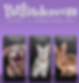 Petfinder.com