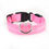 Miniatura: Nylon LED Pet Dog Collar,Night Safety Flashing Glow in the Dark Dog Leash,Dogs