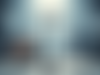 Supremacia do Interesse Público: Revisitando um Princípio-Matriz do Direito Administrativo em uma Perspectiva Crítica