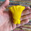 Thumbnail: Blob Mushrooms