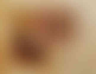 Imagem de um livro antigo