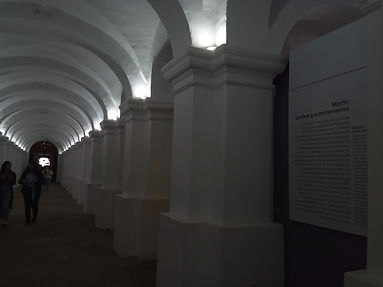 IMG_20191011_102519.jpg