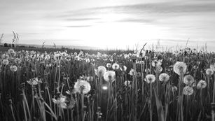 Scripture Reflection - December 14, 2025