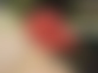 茶臼山GC 紅葉が見頃となっております。