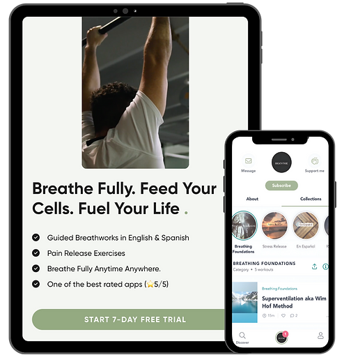 Breathtribe Mobile App Interface