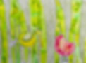 IMG_1980.JPEG