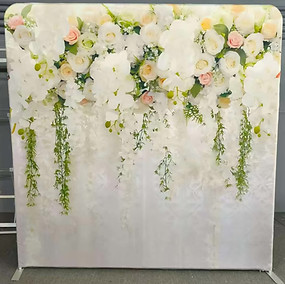 Backdrop 2_edited.jpg